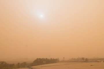 Una densa calima cubre el cielo de Telde (Foto Jesús Ruiz, TA y Antonio Rico)